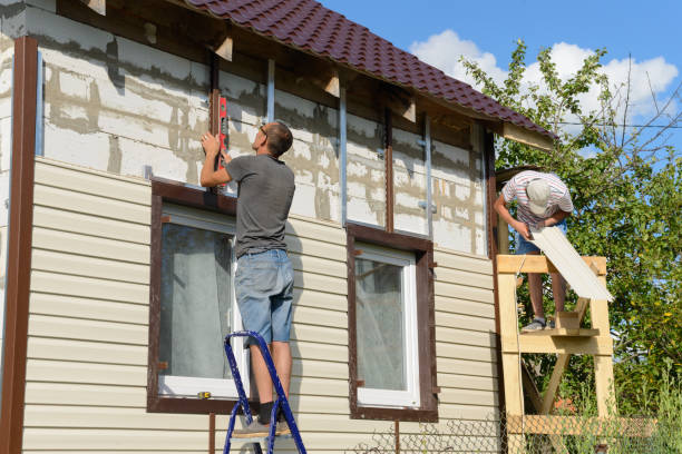 Trusted Rineyville, KY Siding Experts