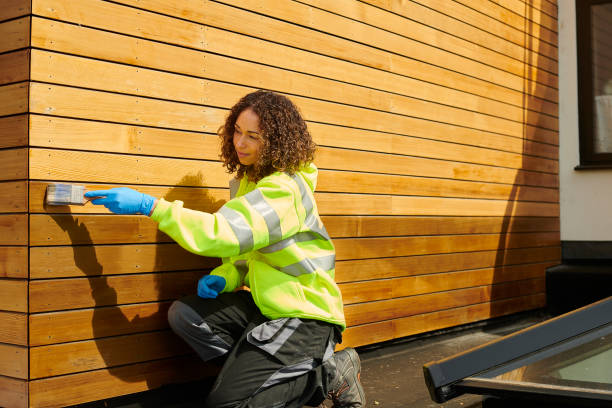 Best Vinyl Siding Installation  in Rineyville, KY